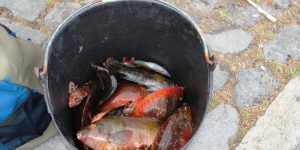 PROVA PESCA DESPORTIVA -2011