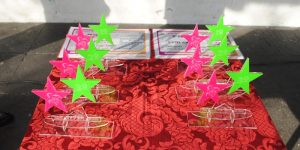 CORSO DE CARNAVAL 2013