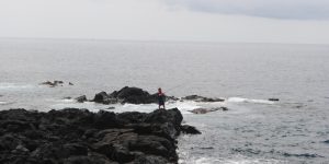 PESCA DESPORTIVA 2013