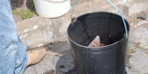 PESCA DESPORTIVA 2013