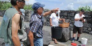 PESCA DESPORTIVA 2013