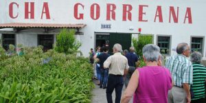 PASSEIOS COM IDOSOS 10/08/2013