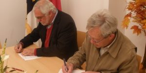 PROTOCOLOS PARA 2011