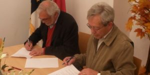 PROTOCOLOS PARA 2011