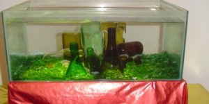 FOTOS DIVERSAS DE ANOS ANTERIORES