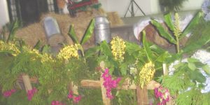 FOTOS DIVERSAS DE ANOS ANTERIORES