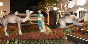 FOTOS DIVERSAS DE ANOS ANTERIORES