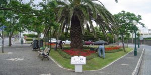 FOTOS DIVERSAS DE ANOS ANTERIORES