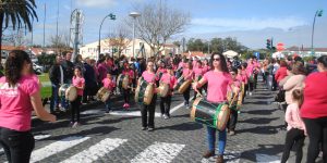 FOTOS DO CORSO DE CARNAVAL DE 2017