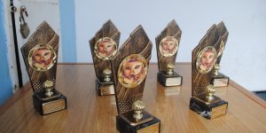 FOTOS DO CORSO DE CARNAVAL DE 2017